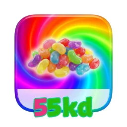 55kd